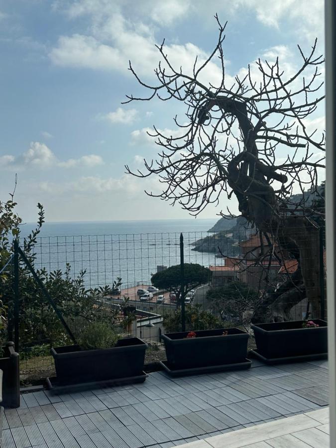 Casa Del Sasso *